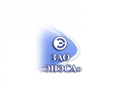 Специальные услуги ЗАО «ЭНЭСА»